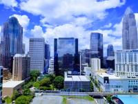 Charlotte Tapestry by Ethan Peeler
