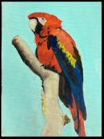Red McCaw by Thomas Corwin