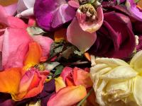 Yesterday's Posy by Pamela Overcash